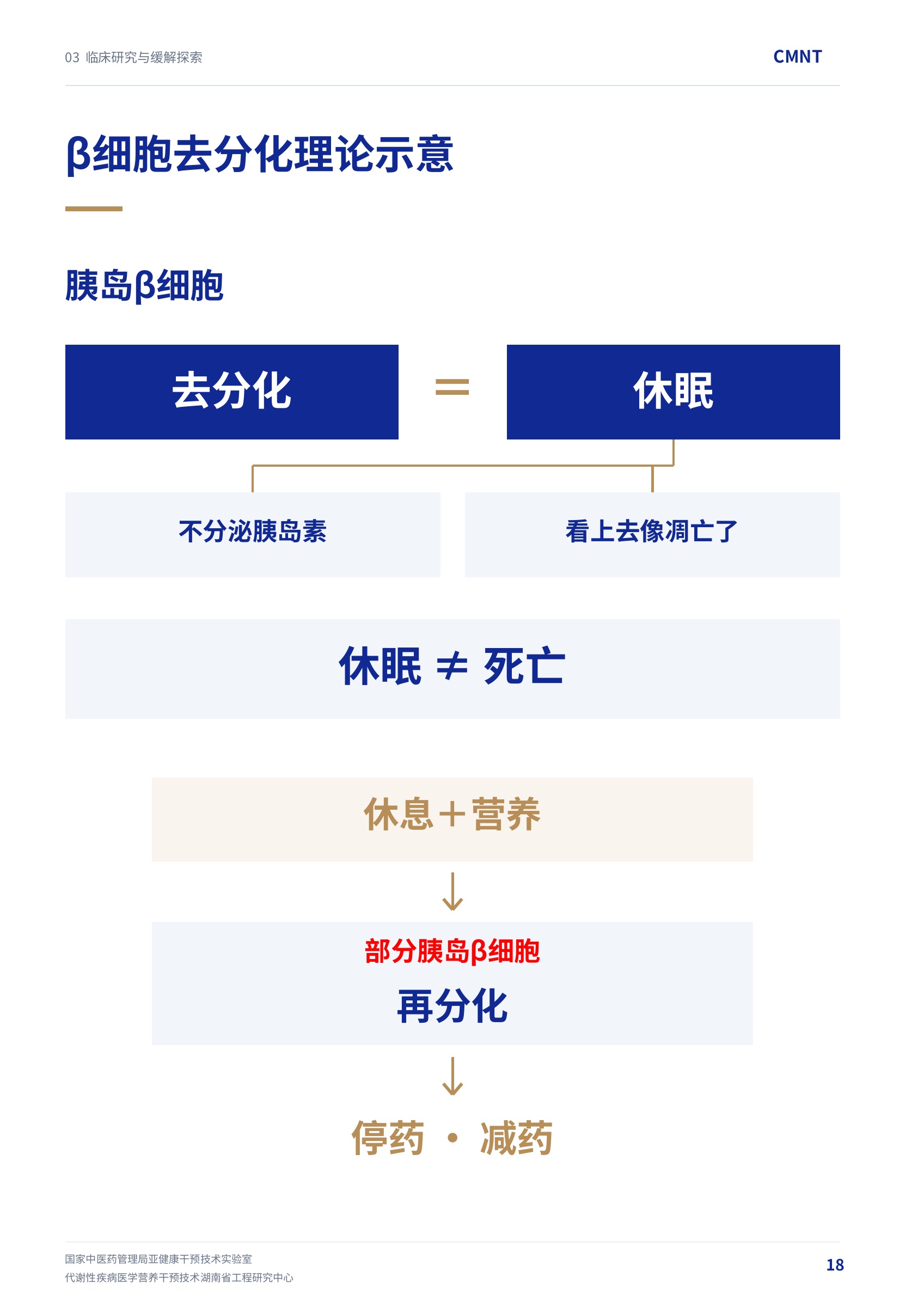 第 18 页 · β细胞去分化理论示意