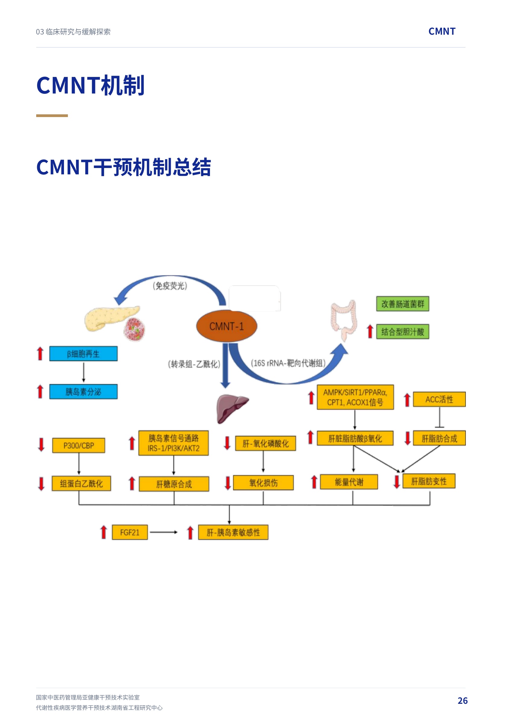 第 26 页 · CMNT机制